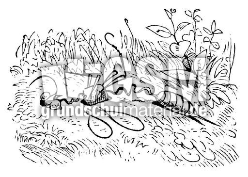 Schnuller sw 16-a.jpg